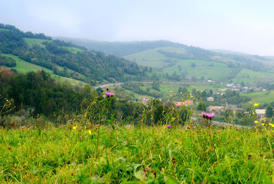 Scenic view of field against sky