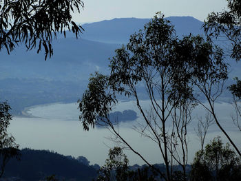 Scenic view of mountains