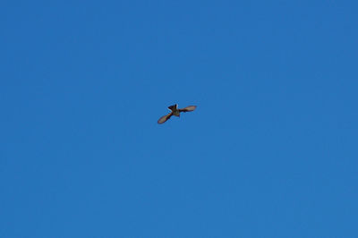 Low angle view of airplane flying against clear blue sky