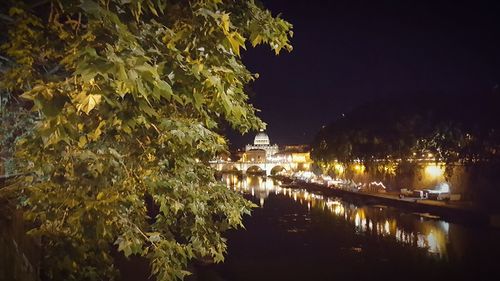 Reflection of illuminated trees in water at night