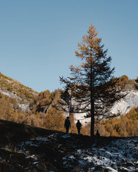 Rear view of person standing on mountain against clear sky