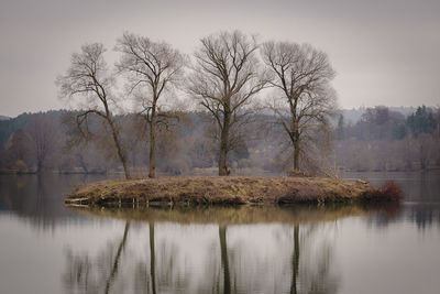 Bare trees by lake against sky