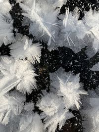 Snow covered land