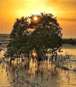 Scenic view of lake against sky during sunset