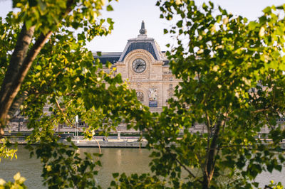 View of trees and building against sky