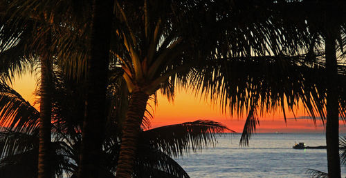 Silhouette palm trees on beach against sky at sunset