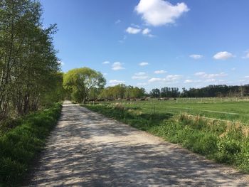 Empty road along plants and trees against sky