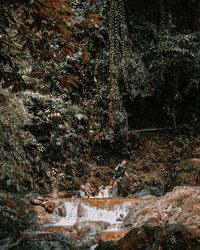 People on rock by river in forest