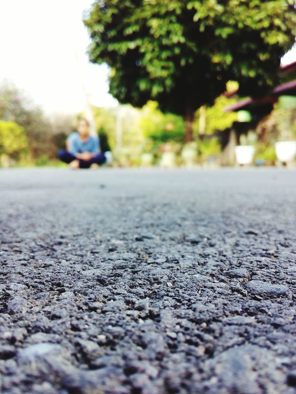 surface level, the way forward, selective focus, street, tree, transportation, road, diminishing perspective, vanishing point, focus on foreground, incidental people, asphalt, outdoors, day, footpath, road marking, treelined, nature, no people, sidewalk