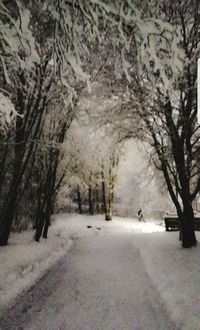 Trees on snow covered landscape