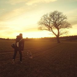 Silhouette of bare tree on landscape at sunset