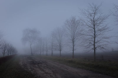 Road amidst bare trees on field against sky