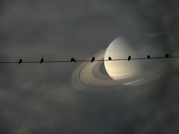 Low angle view of birds perching on cable against sky