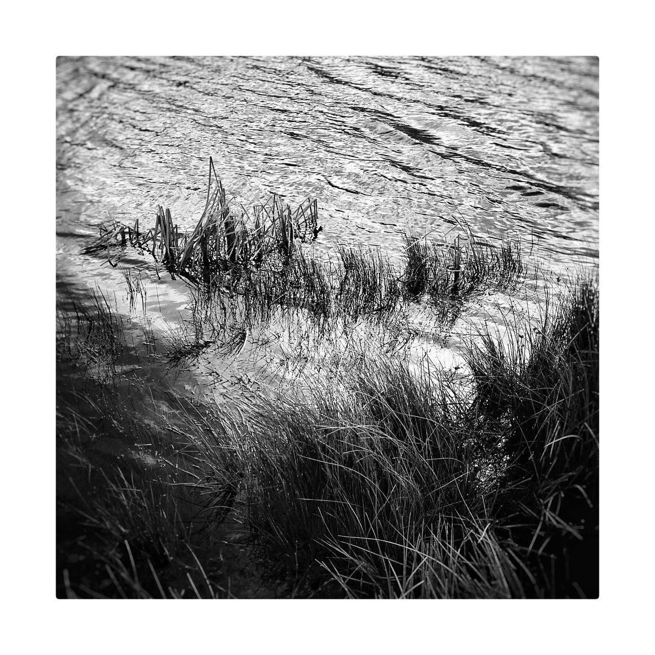 water, wet, no people, backgrounds, day, outdoors, close-up