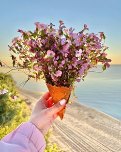 Midsection of person holding pink flowering plant against sky