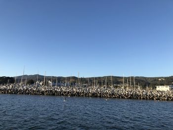 Scenic view of sea against clear blue sky