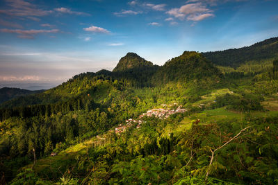 Scenic view of landscape against sky