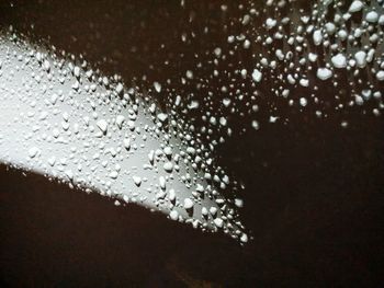 Close-up of wet leaves against sky