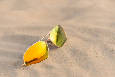 Close-up of yellow leaf on sand