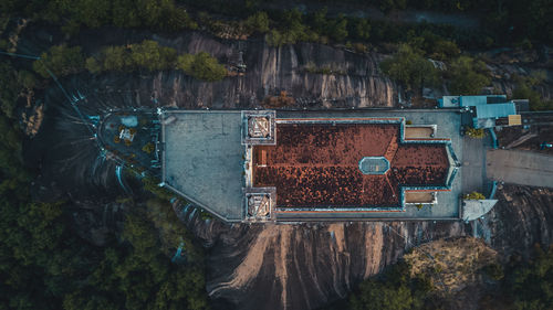 High angle view of trees on field