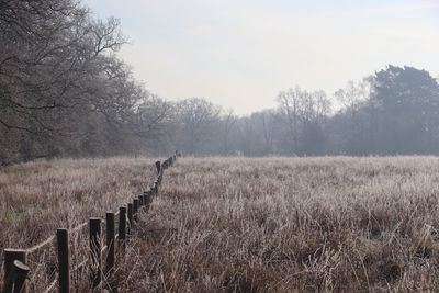 Wooden fence on field against sky