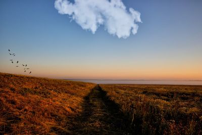 Scenic view of land against sky