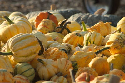 Close-up of pumpkins for sale at market stall