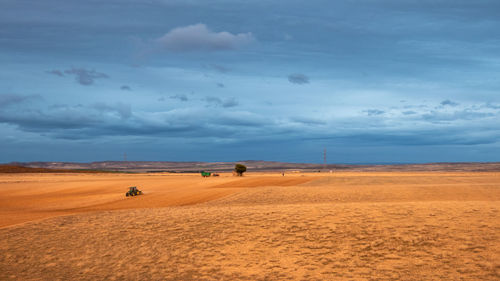 Scenic view of desert against sky