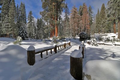 Scenic view of snow covered landscape