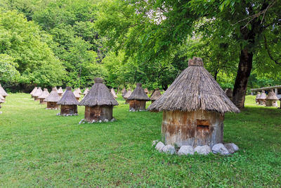 Hut on field against trees and houses in village