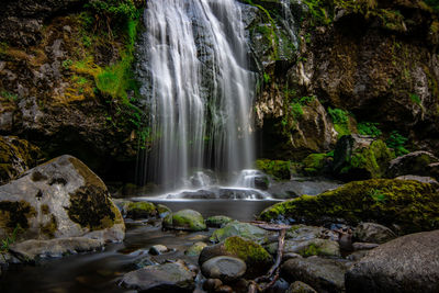 Scenic view of waterfall in forest