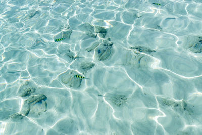 Full frame shot of swimming pool