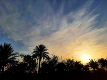 Low angle view of silhouette palm trees against sky during sunset