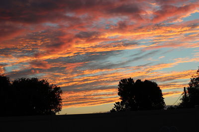 Low angle view of silhouette trees against dramatic sky