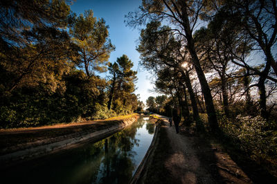 River amidst trees in forest against sky