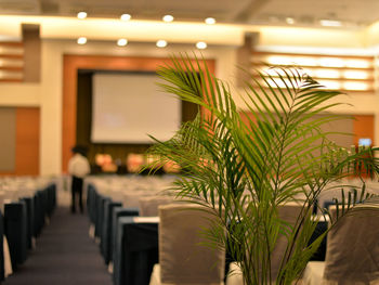 Potted plants on table in restaurant