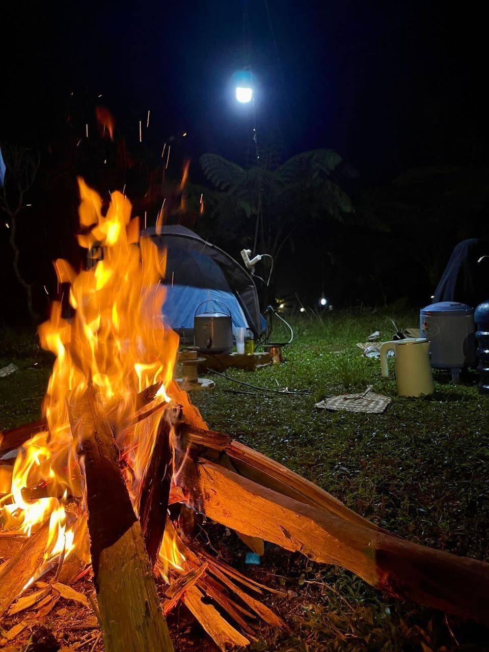 night, flame, fire, burning, campfire, bonfire, heat, nature, camping, glowing, wood, no people, outdoors, moon, plant, grass, illuminated