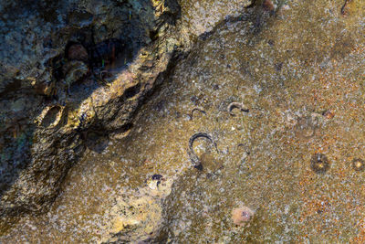 Full frame shot of sea shore