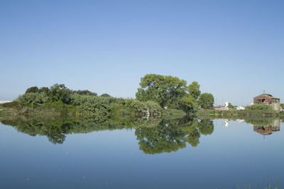 Reflection of trees and buildings in lake against clear blue sky