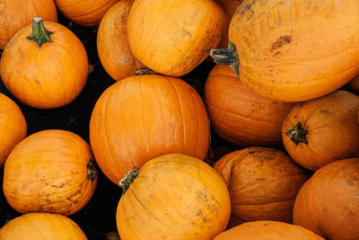 High angle view of pumpkins for sale at market