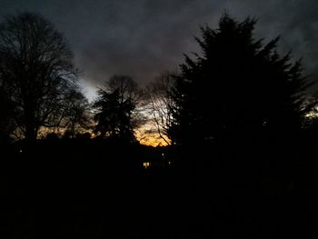 Low angle view of silhouette trees against sky at night