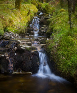 Stream flowing through rocks in forest