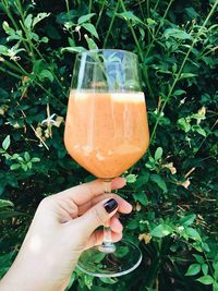 Close-up of woman hand holding drink