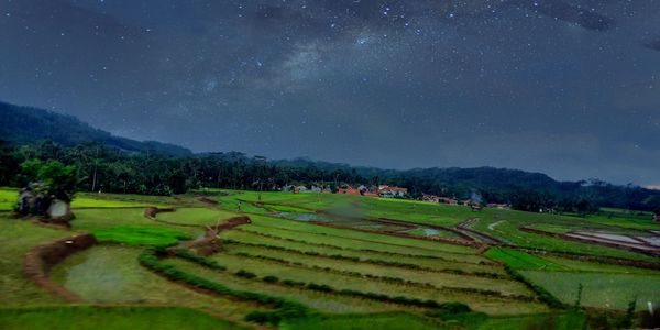 Scenic view of agricultural field against sky at night