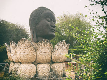 Close-up of statue