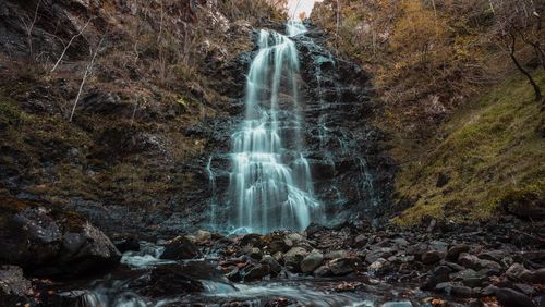 Scenic view of waterfall in forest