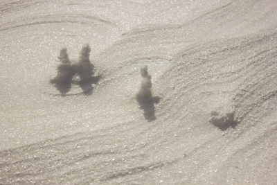 High angle view of shadow on snow covered land