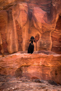 A lonely goat on a clif in the ancien city of petra