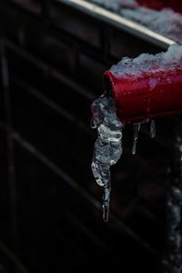 Close-up of ice crystals