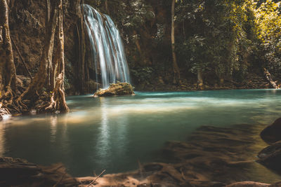 Scenic view of waterfall in forest